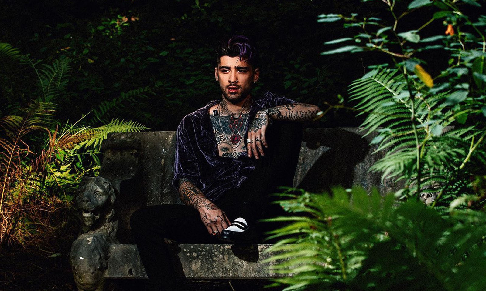 Zayn Atualiza Conteúdo Das Redes E Fãs Especulam Sobre Lançamento Hashtag Pop 